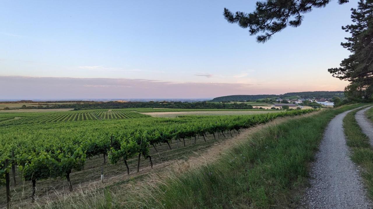 Les Gites De Cour Remond Villers-la-Faye Экстерьер фото